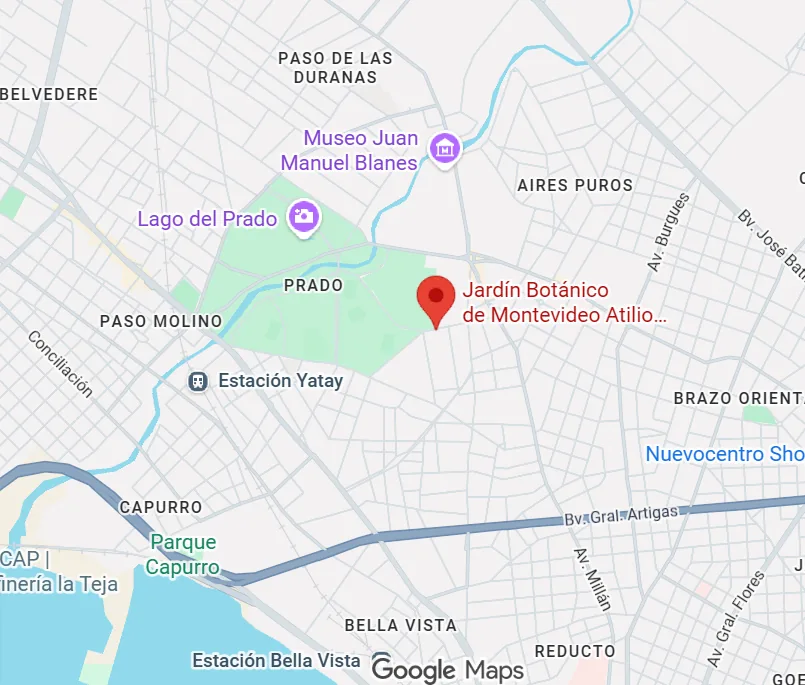 Mapa del barrio Prado con el Jardín Botánico de Montevideo, el Museo Juan Manuel Blanes y el Lago del Prado